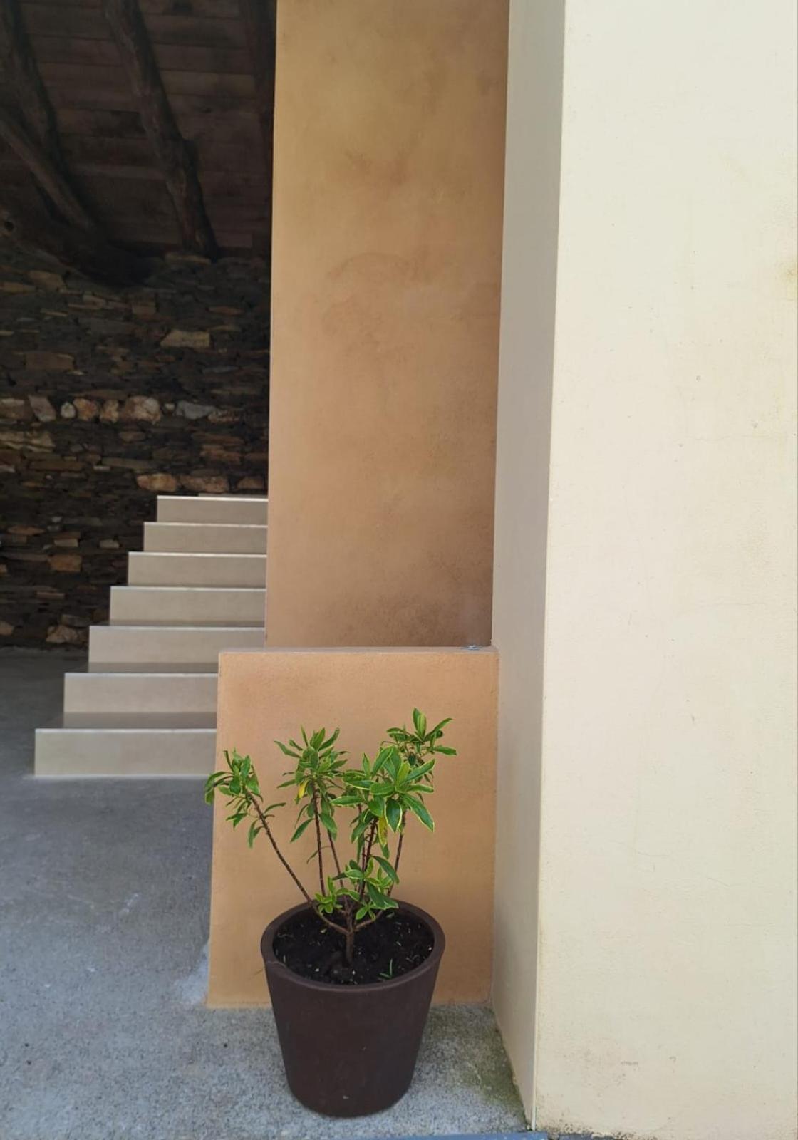 Casa Perdigueira Hotell Castromayor Exteriör bild
